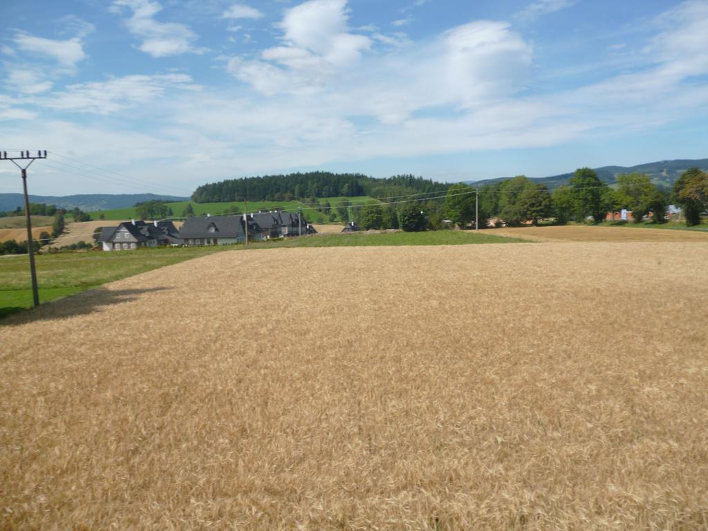 Pension Pugner Vysoké nad Jizerou Buitenkant foto