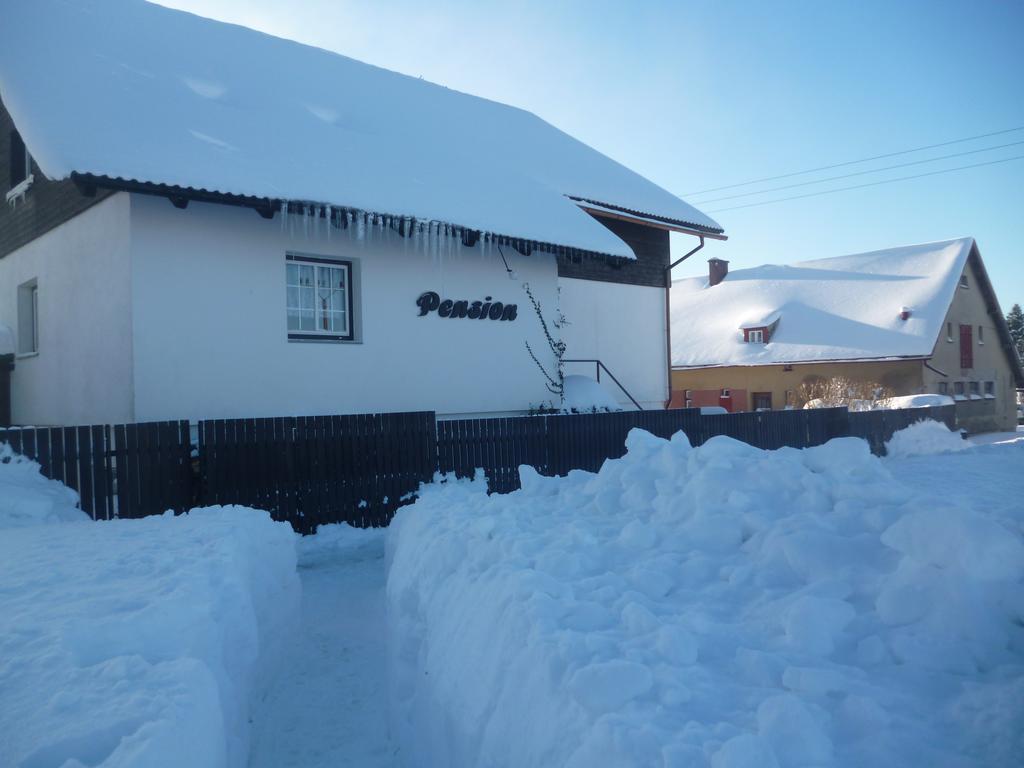 Pension Pugner Vysoké nad Jizerou Buitenkant foto