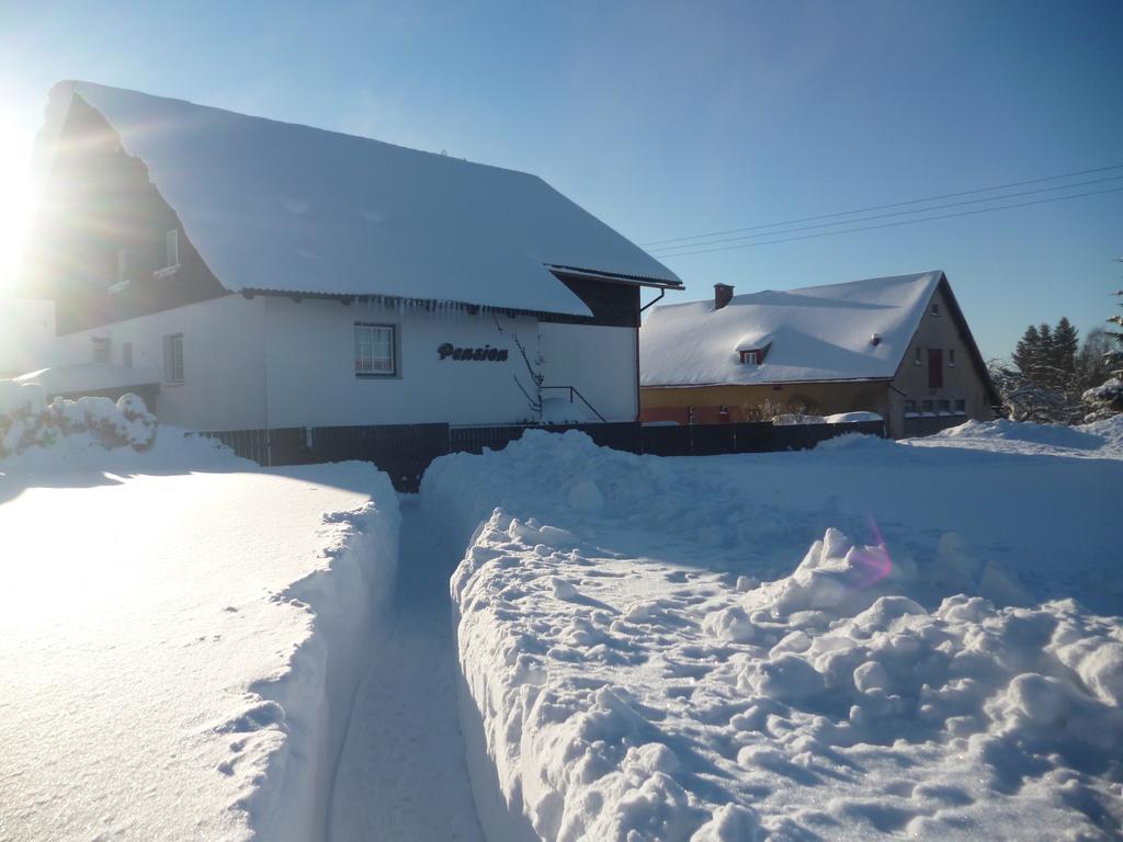 Pension Pugner Vysoké nad Jizerou Buitenkant foto